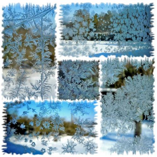 01-hiver-2012-givre-sur-la-verandao.jpg