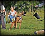 Iowa du Ranch de la Rivière Espérance au travail