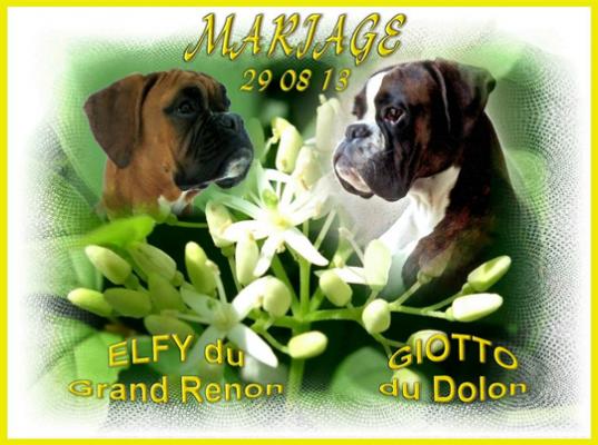 1-mariage-elfy-du-grand-renon-x-giotto-du-dolon-4.jpg