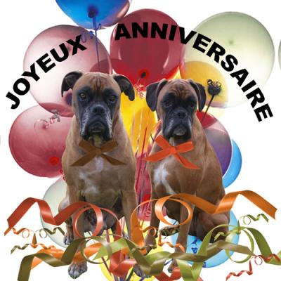 Carte reçue pour l'anniversaire de Giotto et Guenièvre de la part de Mohawk