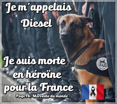 Diesel morte à Saint-Denis