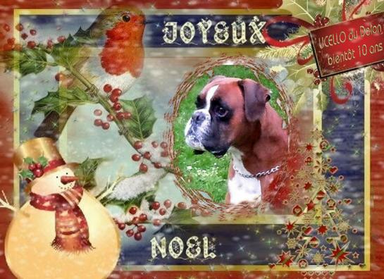 13-voeux-ucello-noel-2012-1.jpg