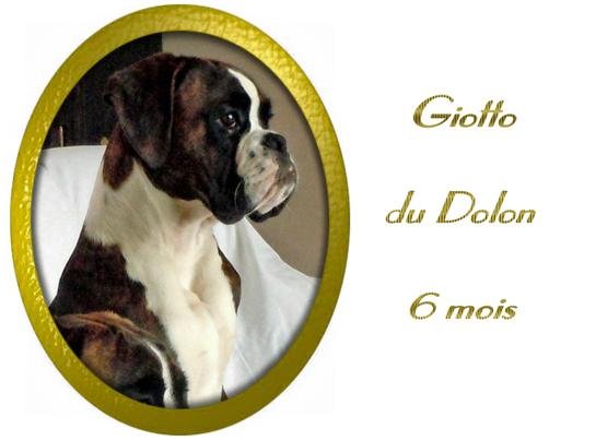 183-jours-b-giotto-le-jour-de-ses-6-mois-1.jpg