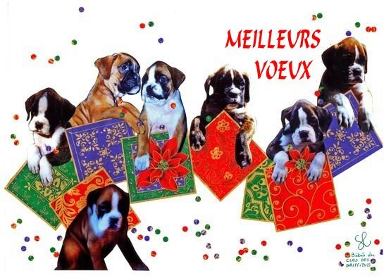 1999-voeux-avec-chiots-d-amis-du-maine-et-loire-2.jpg