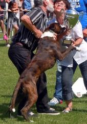 =Giotto Meilleur Puppy Meilleur Espoir NE Nord-Pas-de-Calais 7