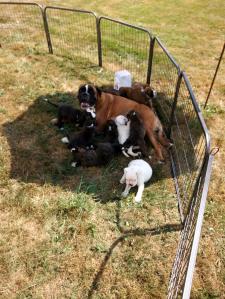 Le bonheur dans le parc tout neuf à 1 mois avec maman !