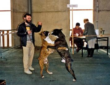 41-jason-du-dolon-poitiers-1.jpg