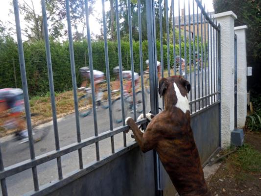 Giotto attend Fly en regardant passer les coureurs (homme)