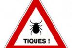 Attention aux tiques