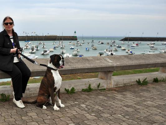 Giotto au port de plaisance de Saint-Quay-Portrieux