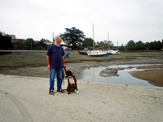 Guenièvre à Paimpol-Poulafret