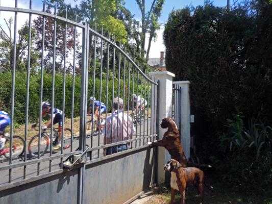 Guenièvre, Giotto et les coureurs