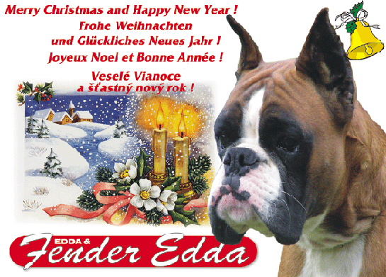 Vœux de Fender Edda