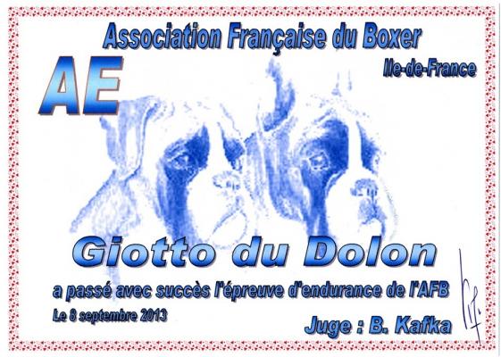 =Giotto AE