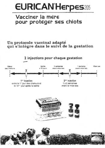 Herpes virose protocole