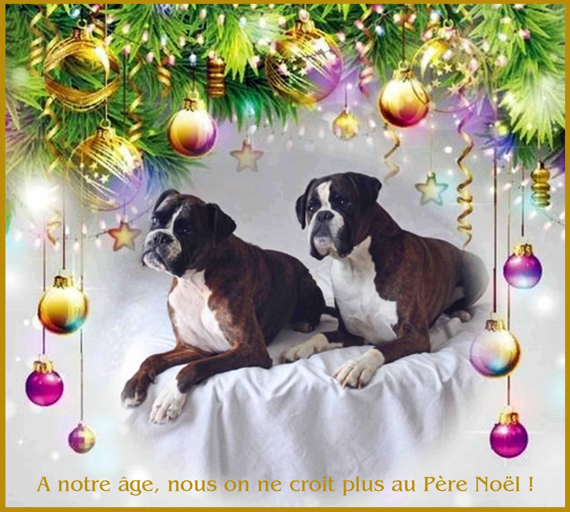 Joyeux Noël