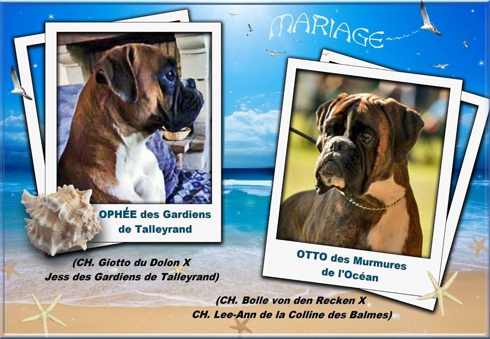 Mariage ophee x otto ok ok modifie 1