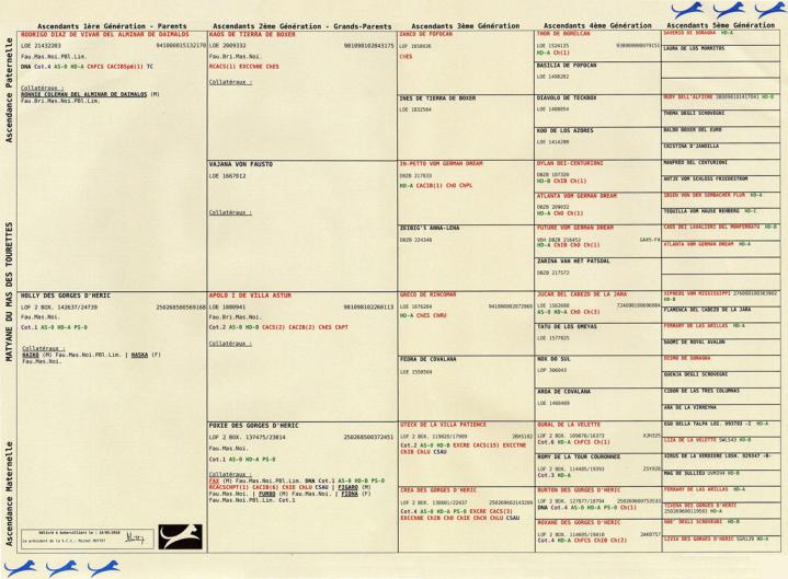 Pédigrée de Matyane du Mas des Tourettes