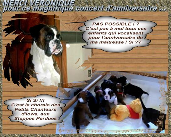 17 juin 2015 remerciements au concert des chiots des Steppes Perdues pour mon anniversaire