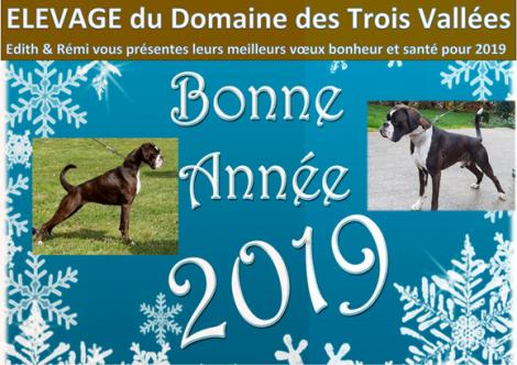 Voeux 2019 du Domaine des Trois Vallées